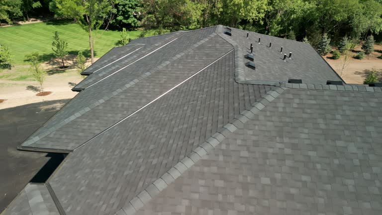 Best Solar Panel Roofing Installation  in Rockford, MN